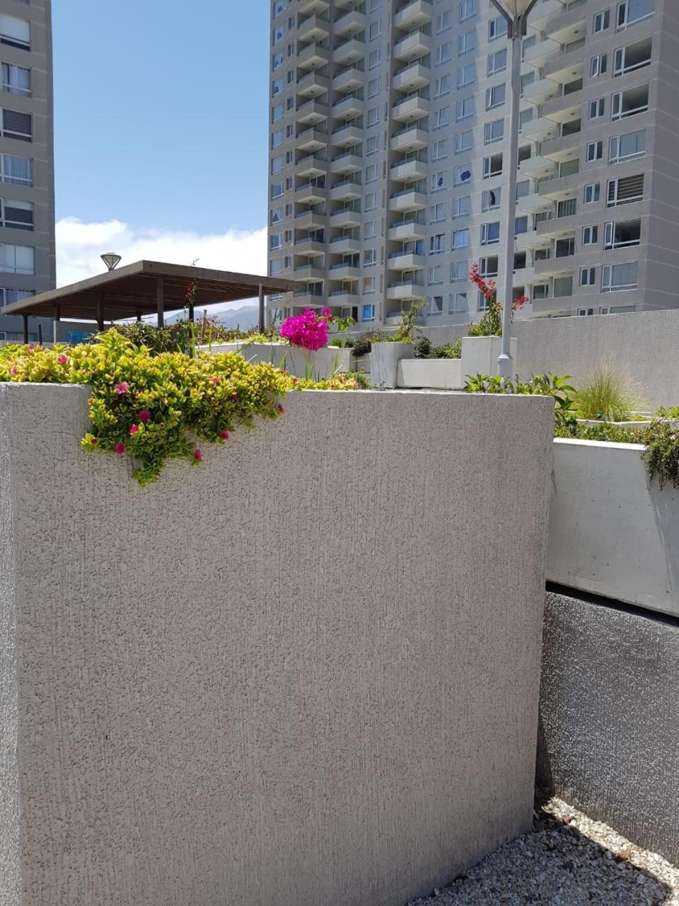 Hermoso Departamento Con Vista Al Mar Antofagasta Zewnętrze zdjęcie